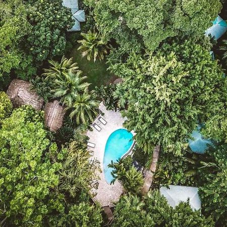 Copal Tree Lodge A Muy'Ono Resort Toledo District Dış mekan fotoğraf