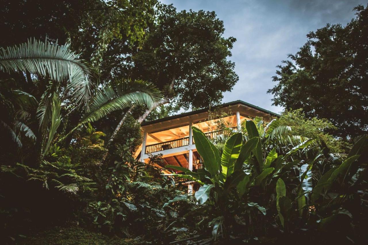 Copal Tree Lodge A Muy'Ono Resort Toledo District Dış mekan fotoğraf