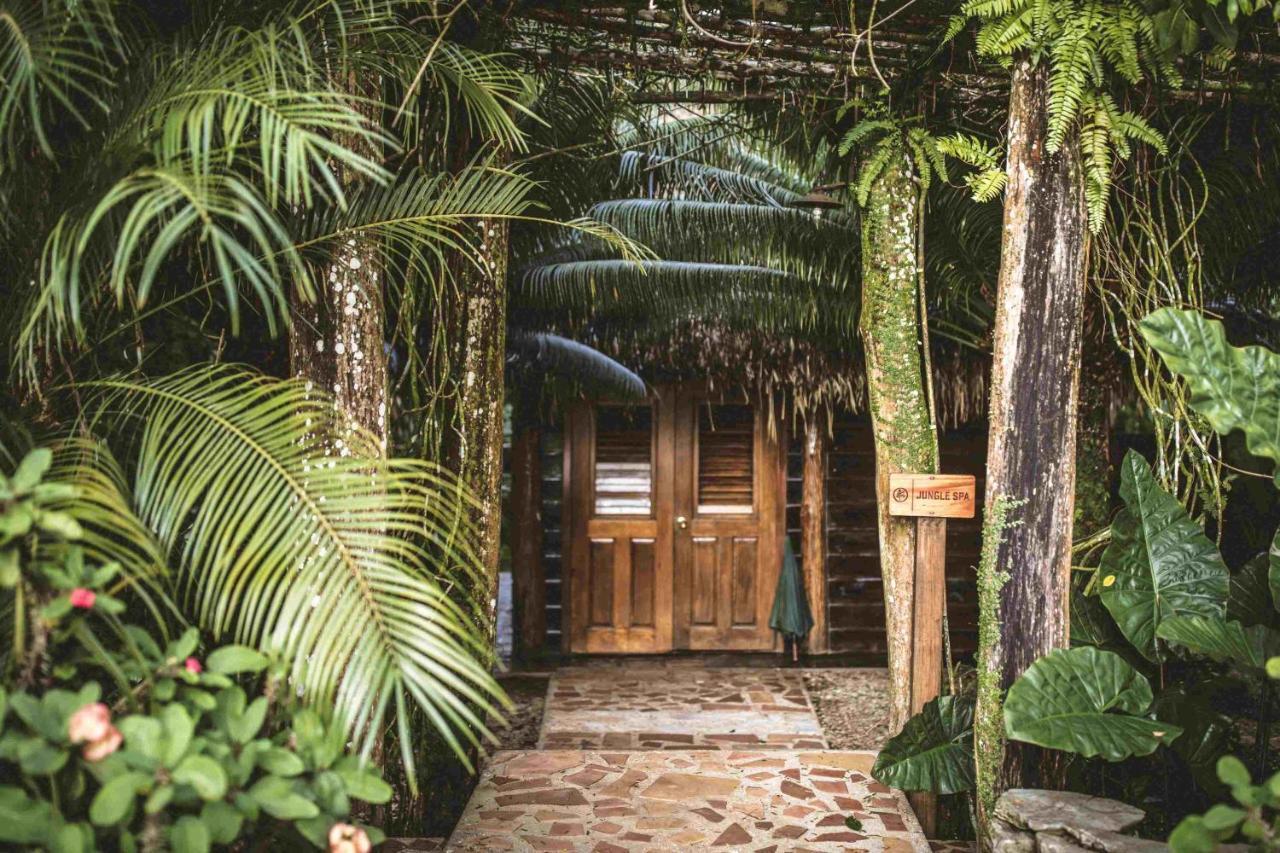 Copal Tree Lodge A Muy'Ono Resort Toledo District Dış mekan fotoğraf