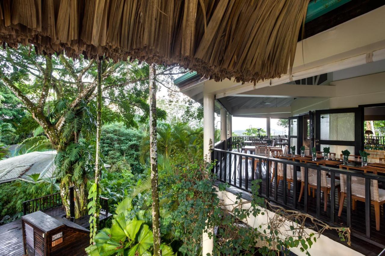 Copal Tree Lodge A Muy'Ono Resort Toledo District Dış mekan fotoğraf